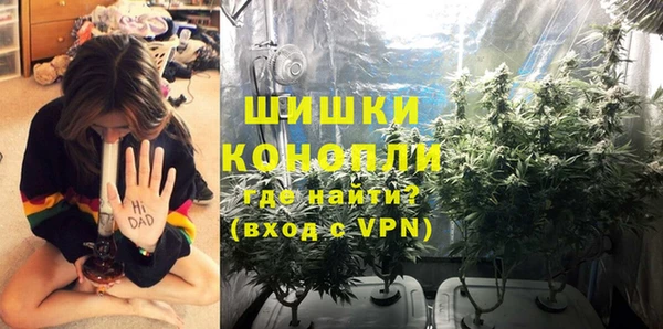 стаф Горнозаводск