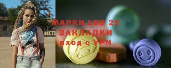 ГАЛЛЮЦИНОГЕННЫЕ ГРИБЫ Вязьма