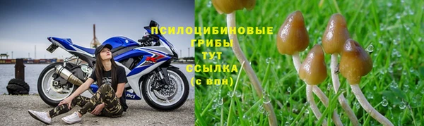 стаф Горнозаводск